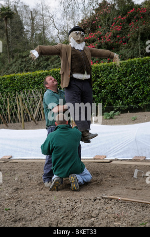 Déménagement jardinier un épouvantail devant le binage et la plantation des légumes à Heligan Gardens Cornwall dans l'Ouest Pays Angleterre UK Banque D'Images