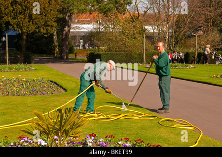 Jardiniers travaillant dans les jardins de l'abbaye de Bury Saint Edmunds, Suffolk , Bretagne , France Banque D'Images