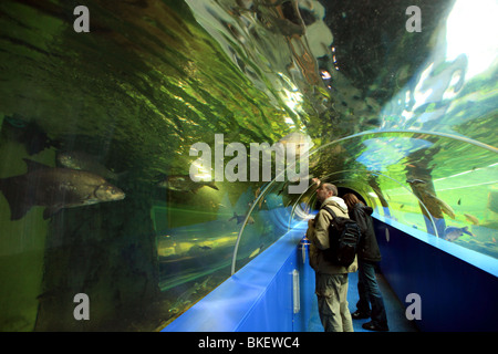 L'Aquarium des lacs, le lac Windermere, Cumbria, England, UK Banque D'Images