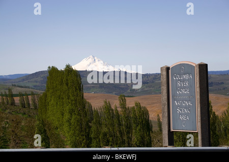 Mount Hood et un signe de la gorge du Columbia National Scenic Area, dans le département du Nord et Banque D'Images