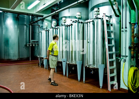 Reims, France, entreprise, Boizel Chanoine -Lanson, touristes visitant le Centre de traitement du Champagne dans la grotte Tourisme, cave à vin, salle de stockage, intérieur industriel moderne, usine d'investissement, VINS DE TOURS FRANCE Banque D'Images