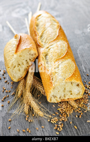 Baguette blanc fraîchement cuits au four avec les épis de blé et de céréales Banque D'Images