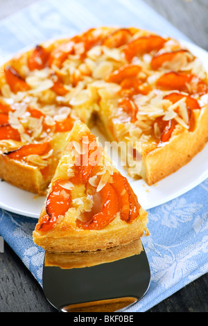 Tranche de boulangerie pâtisserie dessert Tarte aux abricots et amandes Banque D'Images