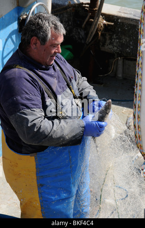 Un pêcheur côtier à Ramsgate Harbour extrait ses prises de bar de son filet. Banque D'Images