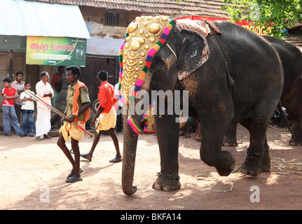 Un cornac dirige un éléphant caparisoned à la queue à un temple festival à Varkala, Kerala, Inde. Banque D'Images