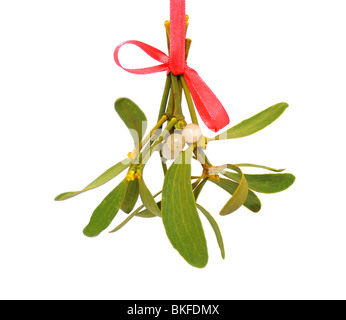 Bouquet de gui pendu le ruban rouge sur fond blanc. Banque D'Images