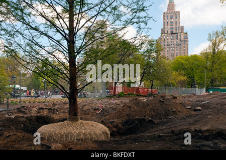 New York, NY - Avril 2010 Un nouvel arbre dans la plantation attend de Washington Square Park. Banque D'Images