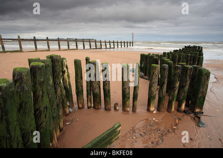 Dawlish Warren les défenses maritimes sur plage, Devon, England, UK Banque D'Images