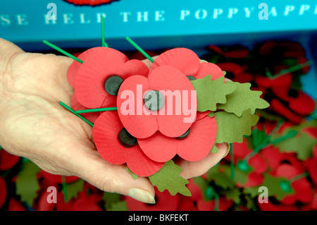 Le pavot rouge distribué par la Légion britannique à l'approche de jour de l'Armistice, uk Banque D'Images