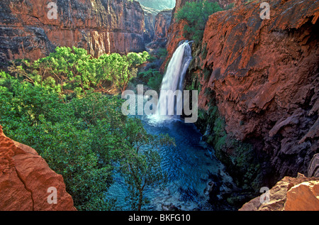 Havasu Falls sur Havasu Creek dans le Grand Canyon, les Indiens Havasupai, Arizona, USA Banque D'Images