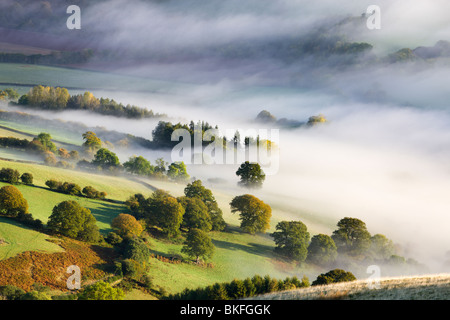 Campagne vallonnée, couverte de brume dans la vallée de l''Usk, parc national de Brecon Beacons, Powys, Wales, UK. L'automne (octobre) 2009 Banque D'Images