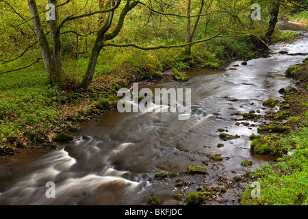 Rivière Wye avec rochers en premier plan à Chee Dale près de Bakewell dans le parc national de Peak District Derbyshire, Angleterre, Royaume-Uni Banque D'Images