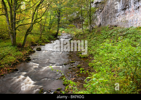 Rivière Wye de rochers et falaises en premier plan à Chee Dale près de Bakewell dans le parc national de Peak District Derbyshire, Angleterre, Royaume-Uni Banque D'Images