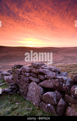 Lever de soleil spectaculaire au-dessus du mur sur Irishmans Belstone commun, Dartmoor National Park, Devon, Angleterre. Hiver (décembre) 2009 Banque D'Images