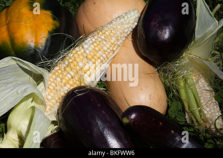 Les agriculteurs commercialisent le stand en bord de route vendant des légumes frais de la ferme de près de dessus les frais généraux personne horizontal aux États-Unis États-Unis haute résolution Banque D'Images