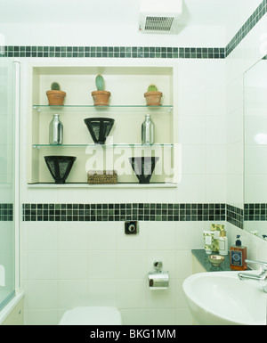 Cactus et des vases en verre sur les étagères d'alcôve dans les petites salle de bains avec sol carrelé noir blanc frontière mur Banque D'Images