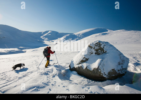 Mike Garrot à l'aide de skis de fond à descendre le pic de Grand Dodd, à 2800 pieds, sur la fin de la gamme Helvellyn, UK Banque D'Images