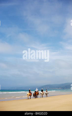 Un groupe de cavaliers sur la plage de Victoria, Australie Banque D'Images