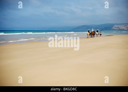 Un groupe de cavaliers sur la plage de Victoria, Australie Banque D'Images