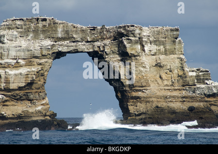 Darwin's Arch, Galapagos. Banque D'Images