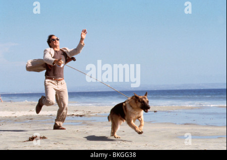 K-9 -1989 K9 (ALT) JAMES BELUSHI Banque D'Images