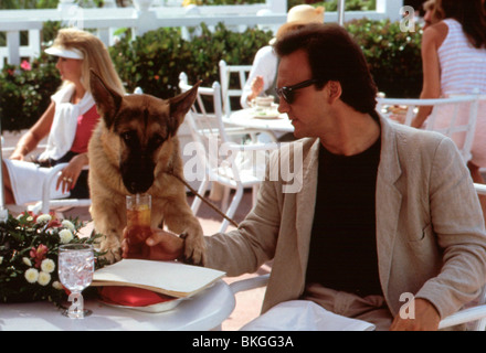 K-9 -1989 K9 (ALT) JAMES BELUSHI Banque D'Images