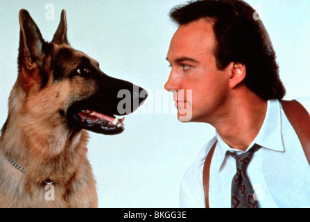 K-9 (1989) K9 (ALT) JAMES BELUSHI, ROB DANIEL (DIR) K9 027 Banque D'Images