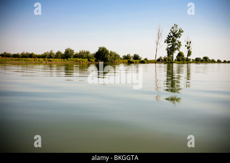 La forêt sur le lac tha Banque D'Images