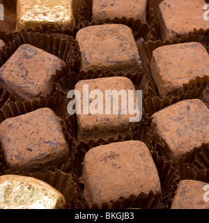 Le commerce équitable de luxe Champagne truffes au chocolat, saupoudré de cacao en poudre texture de fond. Banque D'Images