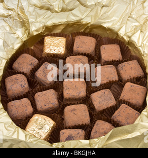 Le commerce équitable de luxe Champagne truffes au chocolat, saupoudré de cacao en poudre. Banque D'Images