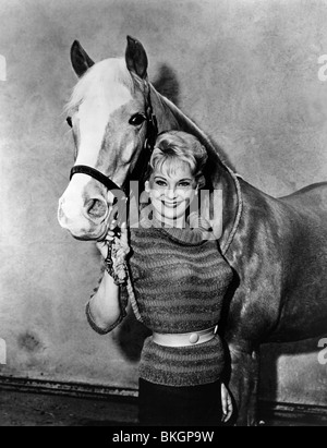 MISTER ED (TV) M. ED (ALT) CONNIE HINES MED 007P Banque D'Images