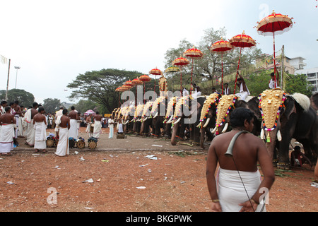 Thrissur pooram festival avec caparisoned elephants,parasols colorés,jouant du tambour Banque D'Images