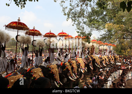 Décorées avec des éléphants caparisoned parasols à thrissur pooram festival Banque D'Images