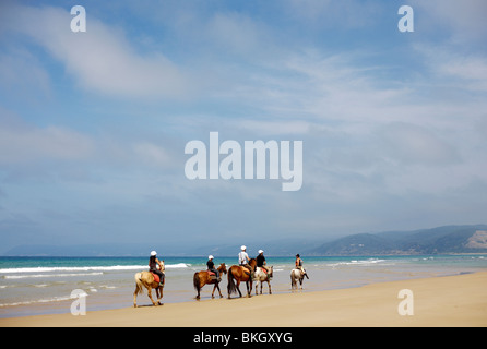 Un groupe de cavaliers sur la plage de Victoria, Australie Banque D'Images