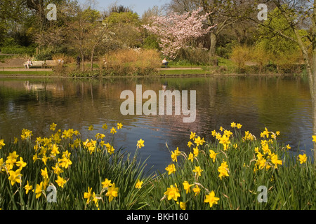 Angleterre London Regents Park Queen Mary's garden pond Banque D'Images