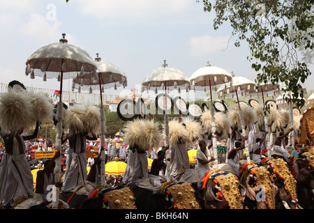 Décorées avec des éléphants caparisoned parasols à thrissur pooram festival Banque D'Images