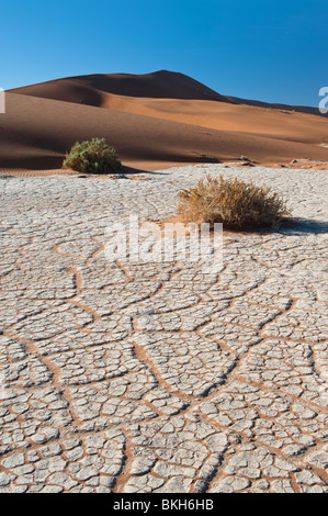 Lit de rivière à sec en laissant un effet de craquelures dans l'Argile Blanche par Big Daddy dans Dune Sossusvlei, Namibie Banque D'Images