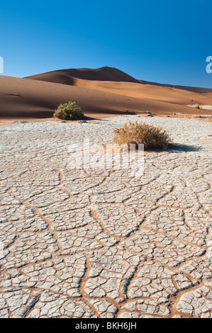 Lit de rivière à sec en laissant un effet de craquelures dans l'Argile Blanche par Big Daddy dans Dune Sossusvlei, Namibie Banque D'Images