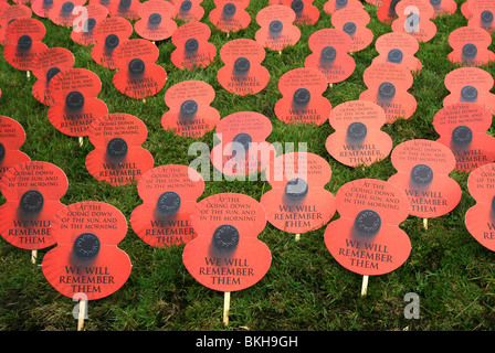 Coquelicots artificiels posés sur l'herbe à côté de la Porte de Menin à Ypres, Belgique autour de la période de Jour du Souvenir, en novembre. Banque D'Images