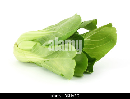 Organic baby bok choy Banque D'Images