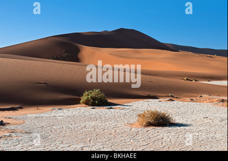 Lit de rivière à sec en laissant un effet de craquelures dans l'Argile Blanche par Big Daddy dans Dune Sossusvlei, Namibie Banque D'Images