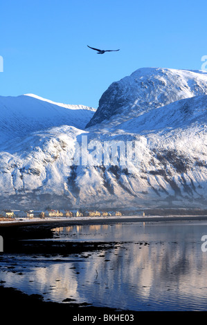 Le Ben Nevis plane sur l'Acel près de Fort William et où les températures devraient baisser jusqu'à moins vingt ce week-end,Scottish Highlands Ecosse Banque D'Images