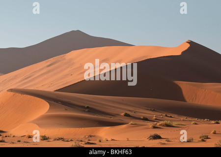 Strong matin soleil projette des ombres om Big Daddy Dune Sossusvlei dans l'une des plus hautes dunes du monde, la Namibie Banque D'Images