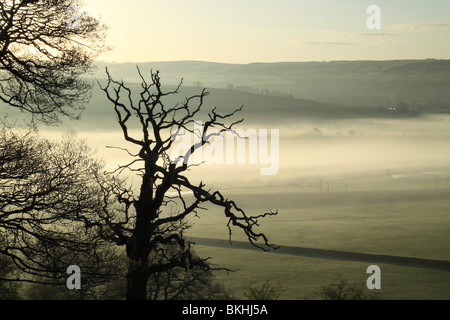 L'aube près de Cononley près de Skipton, et l'Aire Valley dans le North Yorkshire, England UK Banque D'Images