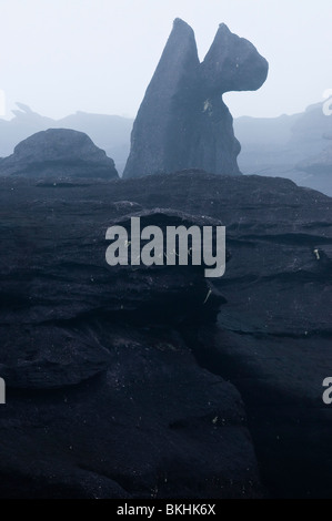 Connu sous le nom de Pierre El Diablo, la forme d'une tête de chien, des formations rocheuses particulières dans le sommet du mont Roraima Banque D'Images