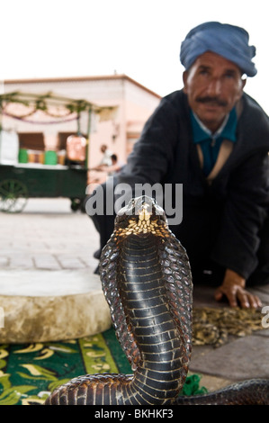 Après-midi à l'Djma El Fna à Marrakech, Maroc. Banque D'Images