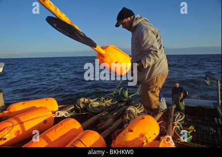 Membre de l'équipage du bateau de pêche du homard dans le golfe du Saint-Laurent s'apprête à fixer une bouée à espar pour marquer des casiers à homard Nouveau-brunswick Canada Banque D'Images