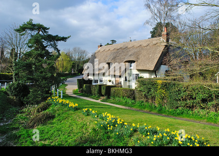 Cottage au toit de chaume, Arkesden, Saffron Walden, Essex, UK, Banque D'Images