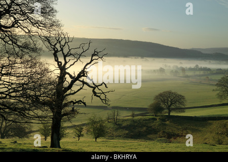 L'aube près de Cononley près de Skipton, et l'Aire Valley dans le North Yorkshire, England UK Banque D'Images