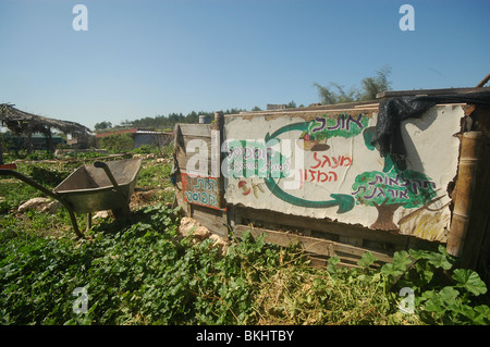 Israël, ferme écologique, l'agriculture biologique Le cycle de compost à partir de déchets à l'engrais Banque D'Images